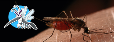 Applicativo GIS Entobase