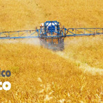 Rischio chimico. È on-line il sito web “Rischio chimico nel piatto”