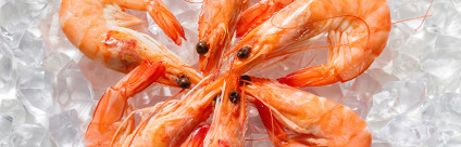 Vibrioni nei crostacei: i rischi per il consumatore Vibrio spp. nei crostacei: quali rischi per il consumatore?