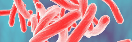 Salmonella. Pubblicati i report Enter-Vet 2011-2012 e 2013-2014 Salmonella. Pubblicati i report Enter-Vet 2011-2012 e 2013-2014