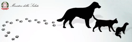 Corso ECM FAD / Movimentazione a fini non commerciali di animali da compagnia Corso ECM FAD / Movimentazione a fini non commerciali di animali da compagnia