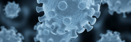 La biobanca veterinaria dell'IZSVe e il network degli IIZZSS italiani