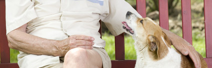 Clostridium difficile nel cane e nell’uomo: i risultati di un’indagine epidemiologica Clostridium difficile nel cane e nell’uomo: i risultati di un’indagine epidemiologica