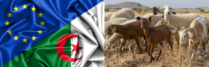 Gemellaggio IZSVe – Algeria: un sostegno ai servizi veterinari per valorizzare le produzioni nazionali algerine Gemellaggio IZSVe - Algeria: un sostegno ai servizi veterinari per valorizzare le produzioni nazionali algerine