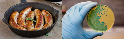 Contaminazioni alimentari. Simulazioni di laboratorio in cucina sperimentale