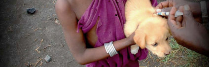 World Rabies Day 2016