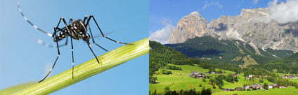 Zika virus: le aree alpine in Italia sono a basso rischio di diffusione Zika virus: le aree alpine in Italia sono a basso rischio di diffusione