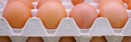 Efsa: prolungare la data di scadenza aumenta il rischio per il consumatore, a meno che le uova non vengano refrigerate