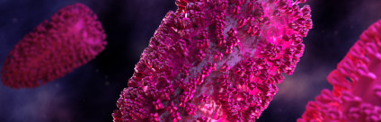 Virus rabbia nell’uomo, convegno ECM su tecniche diagnostiche, profilattiche e terapeutiche