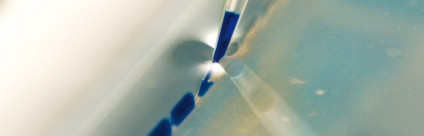 Pubblicata la relazione tecnica 2014 dell’IZSVe Pubblicata la relazione tecnica 2014 dell'IZSVe