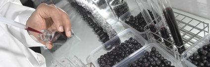 Premio “Soldera Case Basse” al Laboratorio di chimica sperimentale per l’identificazione delle caratteristiche chimiche del vino Premio “Soldera Case Basse” al Laboratorio di chimica sperimentale per l’identificazione delle caratteristiche chimiche del vino