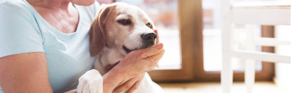 Interventi assistiti con gli animali: riflessioni sul contesto istituzionale e nazionale Interventi assistiti con gli animali: il contesto istituzionale