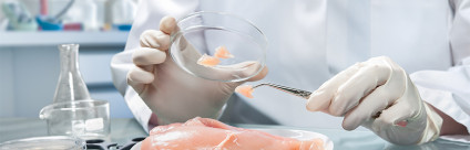 Corso ECM / I criteri microbiologici: il Regolamento 2073/2005