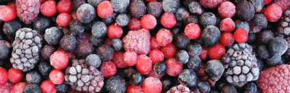 Comunicare ai giovani il rischio Epatite A da frutti di bosco [linee guida]