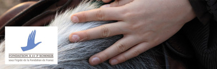 Seminario giustizia e mediazione animale: il CRN per gli interventi assistiti a Lione