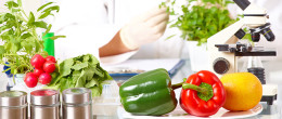 Permalink to: Corso ECM / Metodi innovativi biomolecolari associati alla sicurezza alimentare Corso ECM / Metodi innovativi biomolecolari associati alla sicurezza alimentare