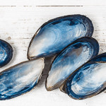 Come acquistare e cucinare i molluschi bivalvi [linee guida]