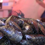 Molluschi bivalvi: per un consumo senza rischi [Video]