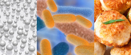Permalink to: Nanotecnologie e alimenti: quale efficacia? Nanotecnologie e alimenti: quale efficacia?