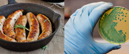 Permalink to: Contaminazioni alimentari. Simulazioni di laboratorio in cucina sperimentale Contaminazioni alimentari. Simulazioni di laboratorio in cucina sperimentale