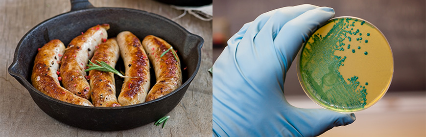 Contaminazioni alimentari. Simulazioni di laboratorio in cucina sperimentale