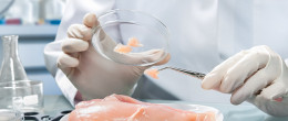Permalink to: Corso ECM / I criteri microbiologici: il Regolamento CE 2073/2005 Corso ECM / I criteri microbiologici: il Regolamento 2073/2005
