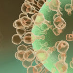 Influenza aviaria in Italia e in Europa: aggiornamenti sulla situazione