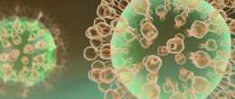 Permalink to: Influenza aviaria: aggiornamenti sulla situazione epidemiologica in Europa e Italia Influenza aviaria: focolaio di H5N5 a Grado