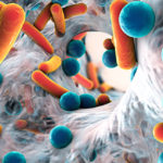 EFSA ed EMA indicano la strada per ridurre l’uso degli antibiotici negli allevamenti europei