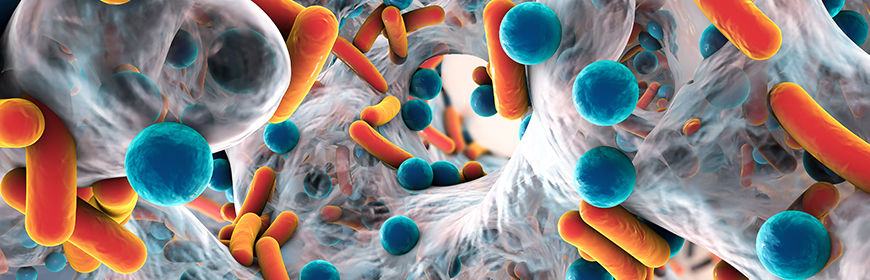 EFSA ed EMA indicano la strada per ridurre l’uso degli antibiotici negli allevamenti europei