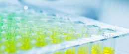 Permalink to: Addio antibiogramma: da gennaio i test di sensibilità agli antimicrobici eseguiti tramite MIC Addio all'antibiogramma: da gennaio i test di sensibilità agli antimicrobici eseguiti tramite la MIC