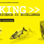 6 aprile 2017 a Roma: IV Convegno nazionale sulla ricerca in sanità pubblica veterinaria