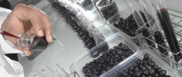 Permalink to: Premio “Soldera Case Basse” al Laboratorio di chimica sperimentale per l’identificazione delle caratteristiche chimiche del vino Premio “Soldera Case Basse” al Laboratorio di chimica sperimentale per l’identificazione delle caratteristiche chimiche del vino