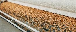 Permalink to: Il Laboratorio di chimica sperimentale IZSVe premiato al RAFA 2017 per la caratterizzazione e l'identificazione delle farine Laboratorio di chimica sperimentale IZSVe premiato per la caratterizzazione e l'identificazione delle farine
