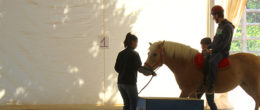 Permalink to: Convegno “Riabilitazione equestre: Relazione e Progettualità”, giovedì 22 marzo a Brescia Convegno “Riabilitazione equestre: Relazione e Progettualità”, giovedì 22 marzo a Brescia