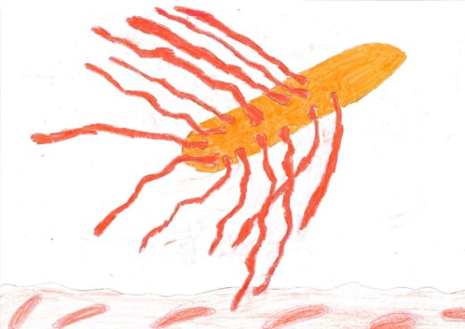 Disegno bambini batteri alimenti 2
