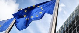 Permalink to: L'IZSVe selezionato come nuovo Laboratorio europeo di riferimento per l’influenza aviaria e la malattia di Newcastle L'IZSVe selezionato come nuovo Laboratorio europeo di riferimento per l’influenza aviaria e la malattia di Newcastle