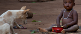 Permalink to: Rabbia, il sostegno dell’IZSVe ai servizi veterinari di Liberia e Burkina Faso Rabbia, il sostegno dell’IZSVe ai servizi veterinari di Liberia e Burkina Faso