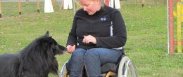 Permalink to: Workshop nazionale "Cani d’assistenza: lo scenario italiano”, 29 settembre 2018 a Firenze