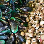Identificazione di specie di molluschi bivalvi mediante pirosequenziamento