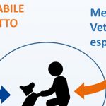 Interventi Assistiti con gli Animali, due infografiche su équipe e requisiti formativi degli operatori