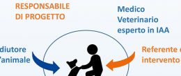 Permalink to: Interventi Assistiti con gli Animali, due infografiche su équipe e requisiti formativi degli operatori Interventi Assistiti con gli Animali, due infografiche su équipe e requisiti formativi degli operatori