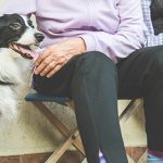 Interventi Assistiti con gli Animali, il “modello italiano” alla Conferenza CNSA di Parigi