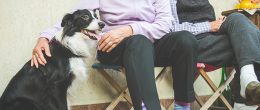 Permalink to: Interventi Assistiti con gli Animali, il "modello italiano" alla Conferenza CNSA di Parigi Conferenza a Parigi sugli Interventi Assistiti con gli Animali nelle residenze per anziani