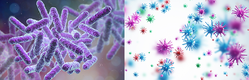 Che differenze ci sono tra batteri e virus? [Video]