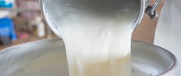 Permalink to: Il contributo del microbiota naturale del latte all’igiene dei formaggi di malga a latte crudo Il contributo del microbiota naturale del latte alla sicurezza e all’igiene dei formaggi di malga a latte crudo