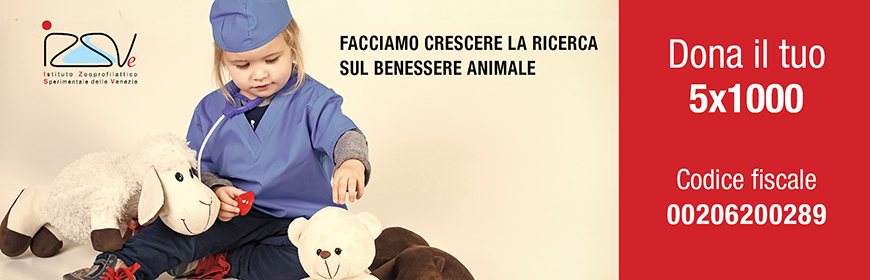 Dona il 5x1000 all'IZSVe. Facciamo crescere la ricerca sul benessere animale