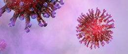 Permalink to: Wuhan novel Coronavirus: come nasce un’emergenza epidemica Wuhan novel Coronavirus: come nasce un’emergenza epidemica