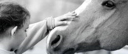 Permalink to: IAA con i cavalli: l’efficacia dipende dall’influenza reciproca degli stati emotivi tra l’animale e l’uomo IAA con i cavalli: l’efficacia dipende dall’influenza reciproca degli stati emotivi tra l’animale e l’uomo