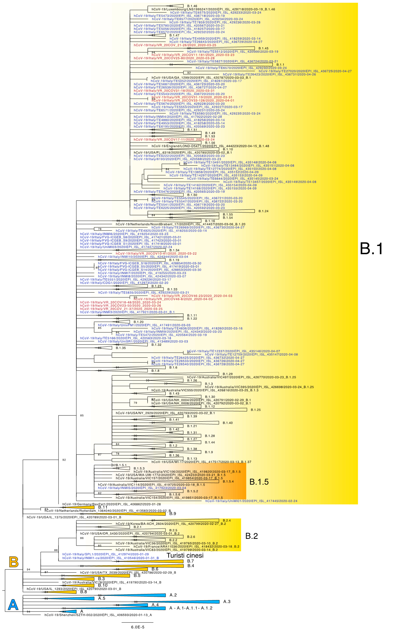Sequenze genomiche SARS-CoV-2